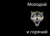 Обложка на паспорт без уголков, волк