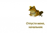 Обложка на автодокументы без уголков, Hypnofrog