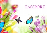 Обложка на паспорт без уголков, Бабочки