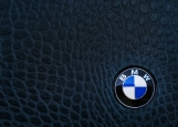 Обложка на автодокументы без уголков, BMW